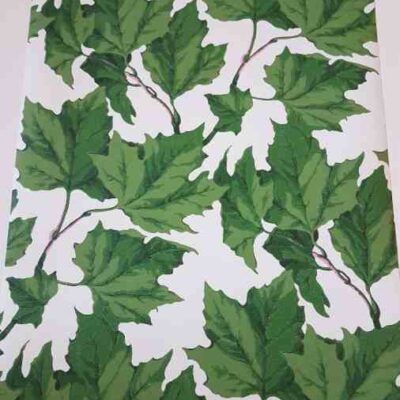 Sophie Robinson Leaf