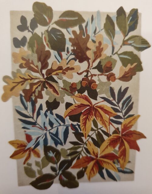 ..Robinson Wood creme Teppich 140x200cm Sanderson Schurwolle – Bild 2